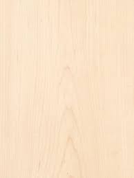 Plain Sliced White Maple